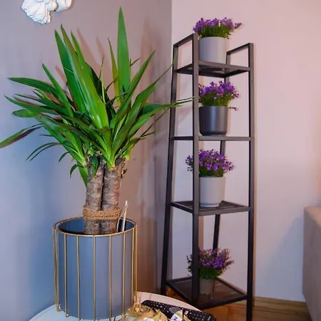 Maya's Flats & 19 & 20 - Ogarna Apartment Gdansk