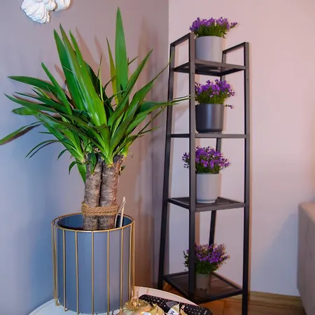 Maya's Flats & 19 & 20 - Ogarna