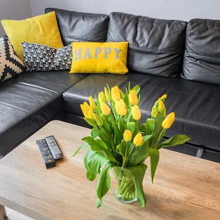 Szálloda Maya's Flats & 19 & 20 - Ogarna