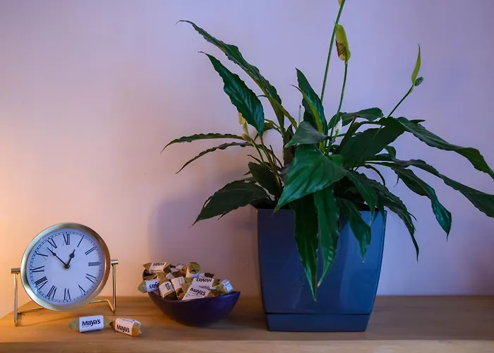 Hotel Maya's Flats & 19 & 20 - Ogarna *