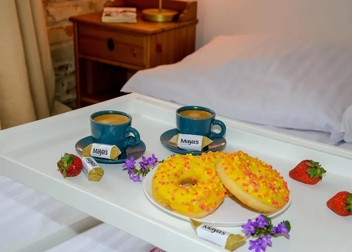 Maya's Flats & 19 & 20 - Ogarna Danzig