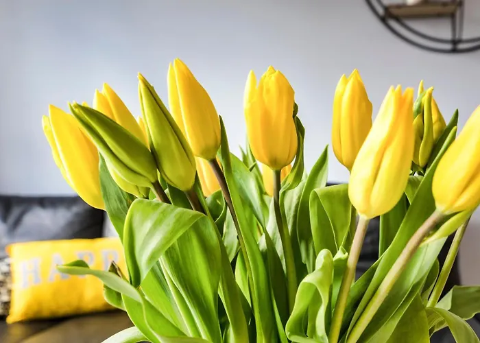 Hotel Maya's Flats & 19 & 20 - Ogarna Danzig