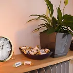 Maya's Flats 19 & 20 - Ogarna St Old Town *