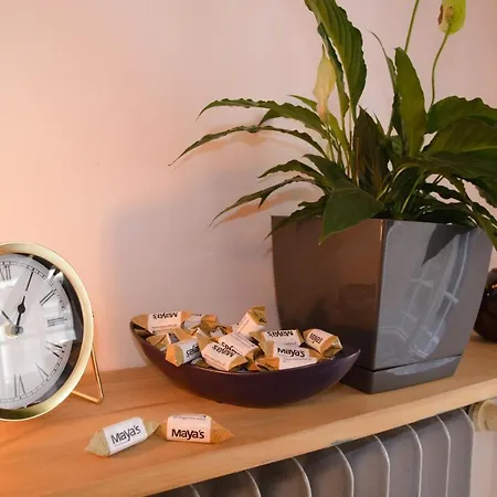 Maya's Flats & 19 & 20 - Ogarna Apartamento