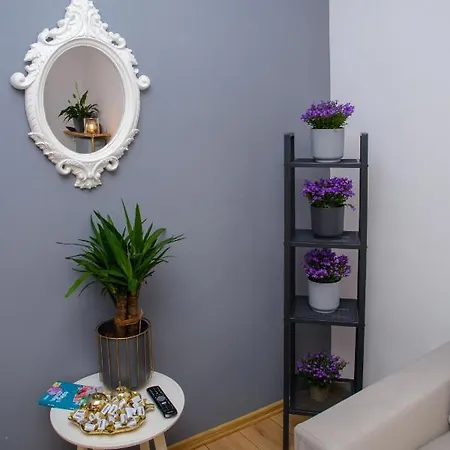 Apartamento Maya's Flats & 19 & 20 - Ogarna