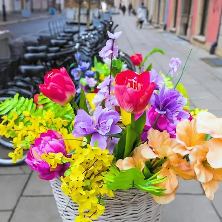 מלון Maya's Flats & 19 & 20 - Ogarna