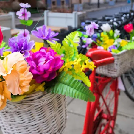 Maya's Flats & 19 & 20 - Ogarna מלון