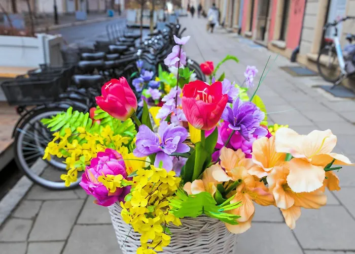 Отель Maya's Flats & 19 & 20 - Ogarna