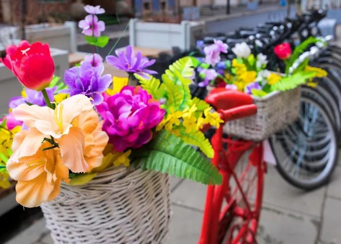 Maya's Flats & 19 & 20 - Ogarna Отель